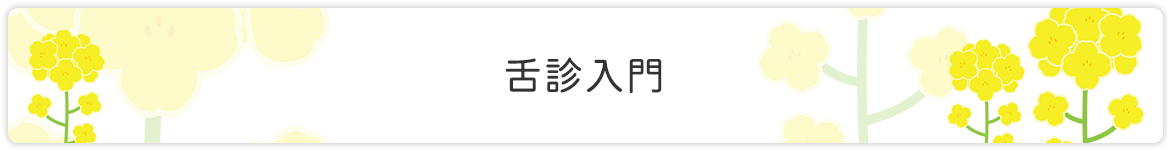 舌診入門
