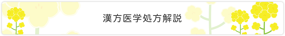 画像：漢方医学処方解説