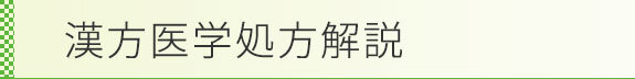 漢方医学処方解説